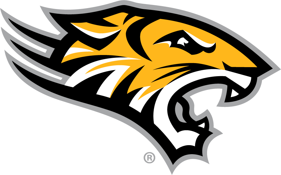 Towson Tigers 2011-Pres Secondary Logo diy iron on heat transfer